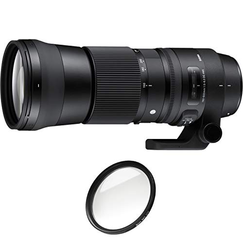 Sigma 150-600 F5-6.3 DG OS HSM ｜I260 SIGMA 150-600mm F5-6.3 DG OS HSM | Contemporary | SIGMA