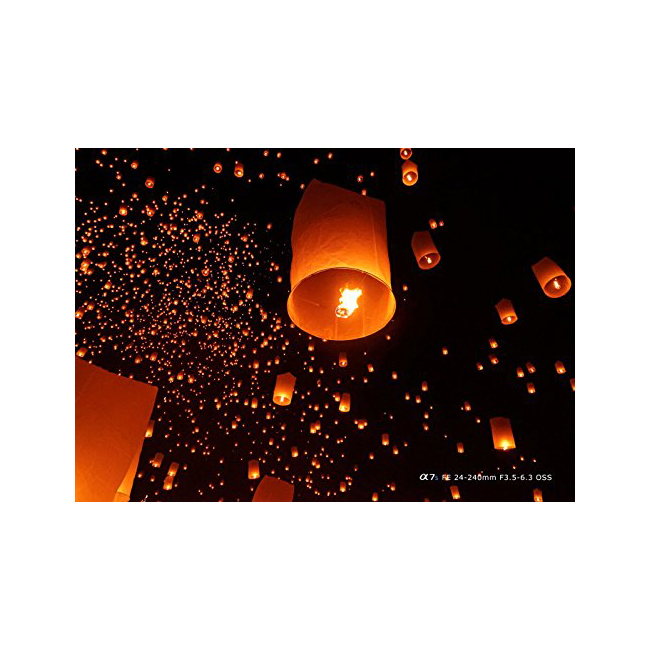 Sony FE 24-240mm f/3.5-6.3 OSS Lens (Intl Model) Model No Warranty - Picture 7 of 7